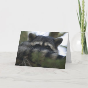 Cartão de Saudação: Racoon