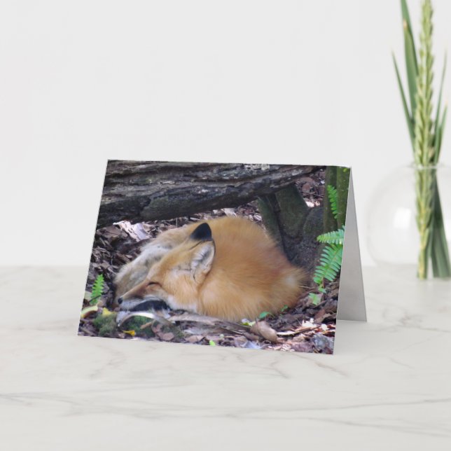 Cartão de Saudação Red Fox (Frente)