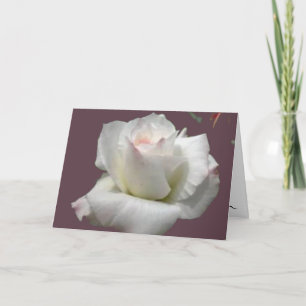 Cartão de Saudação Rosa de Paixão Branca