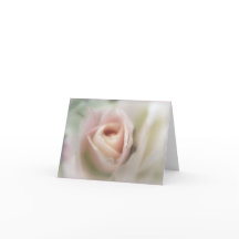 Cartão de Saudação Rosa Rosa Suave