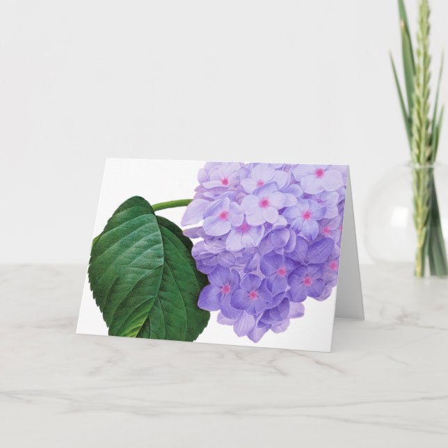 Cartão de Saudação Roxo Hydrangea (Frente)