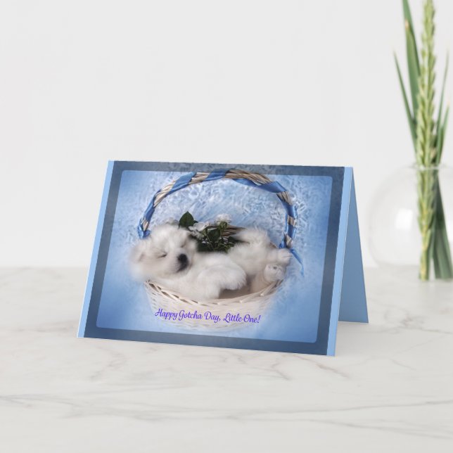 Cartão de Saudação Samoyed Puppy: Celebração "Gotc (Frente)