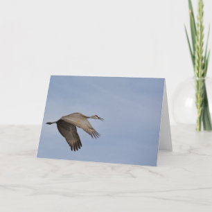 Cartão de Saudação Sandhill Crane