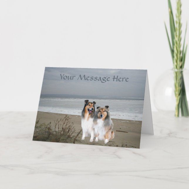 Cartão de Saudação Sheltie (Frente)