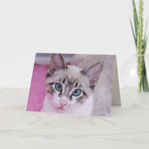 Cartão de Saudação SIAMESES CAT KITTEN ANIVERSÁRIO