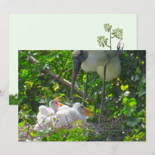 Cartão de Saudação Simples de Woodstort e Pintinho