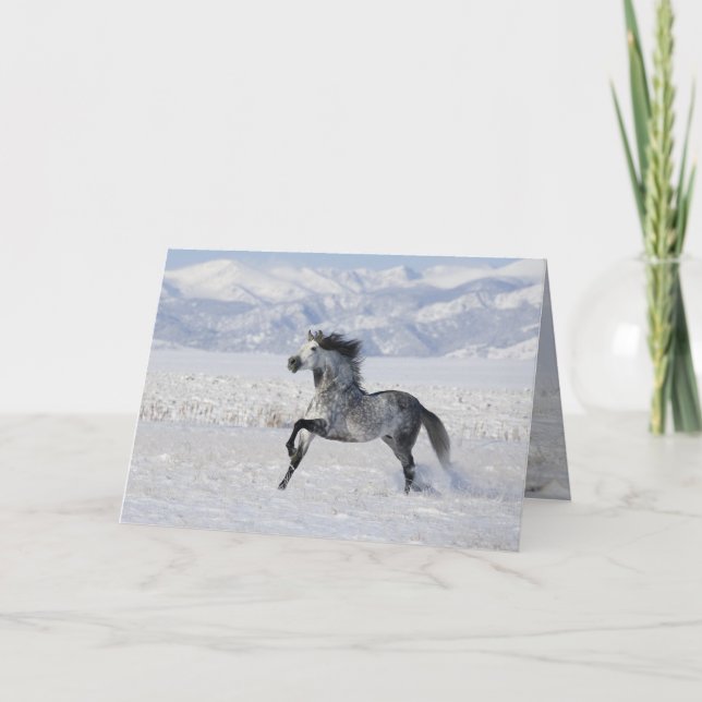 Cartão de Saudação Snowy Stallion Running Horse (Frente)