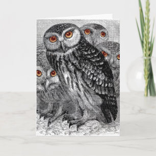 Cartão de Saudação Vintage Owls
