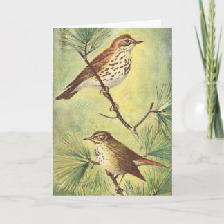 Cartão de Saudação Vintage Thrushes