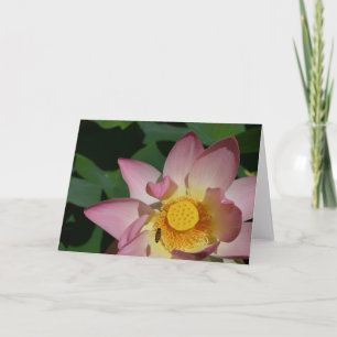 Cartão de Saudação "Vivo Presente"