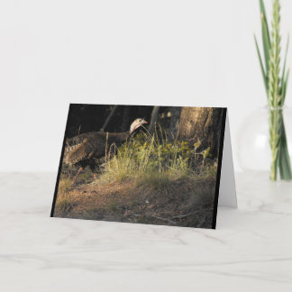 Cartão de Saudação Wild Turkey