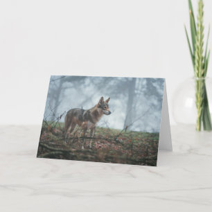 Cartão de Saudação Wolfdog