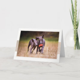 Cartão de Saudação Xoloitzcuintle Puppies