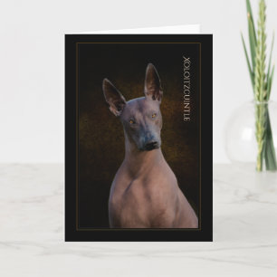 Cartão de Saudação Xoloitzcuintli