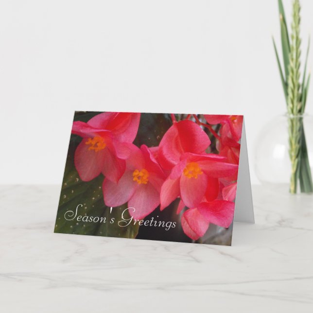 Cartão de Saudações da Estação (Frente)