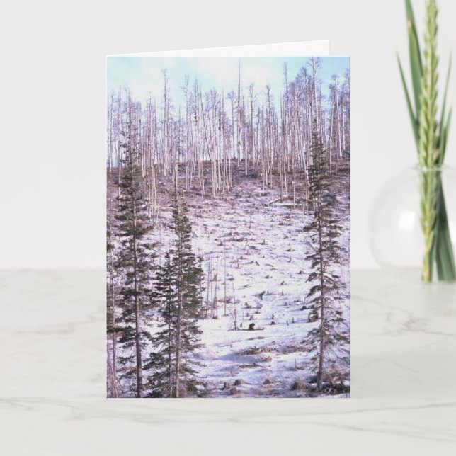 Cartão de Saudações de Winter Rise (Frente)