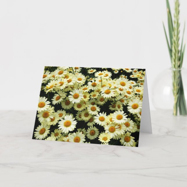 Cartão de saudações do vazio Daisies (Frente)