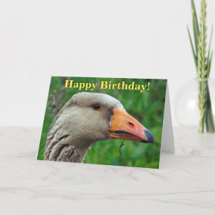 Cartão de saudações personalizável do ganso Greyla