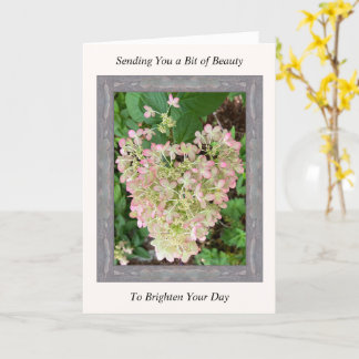 Cartão de Segurança Inspiracional com Hydrangea Ro