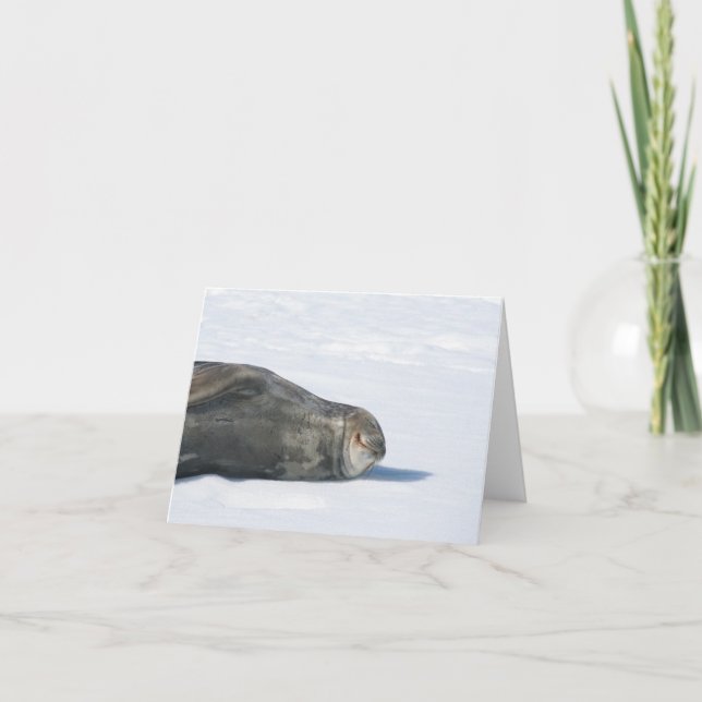 Cartão de selo do Weddell (Frente)