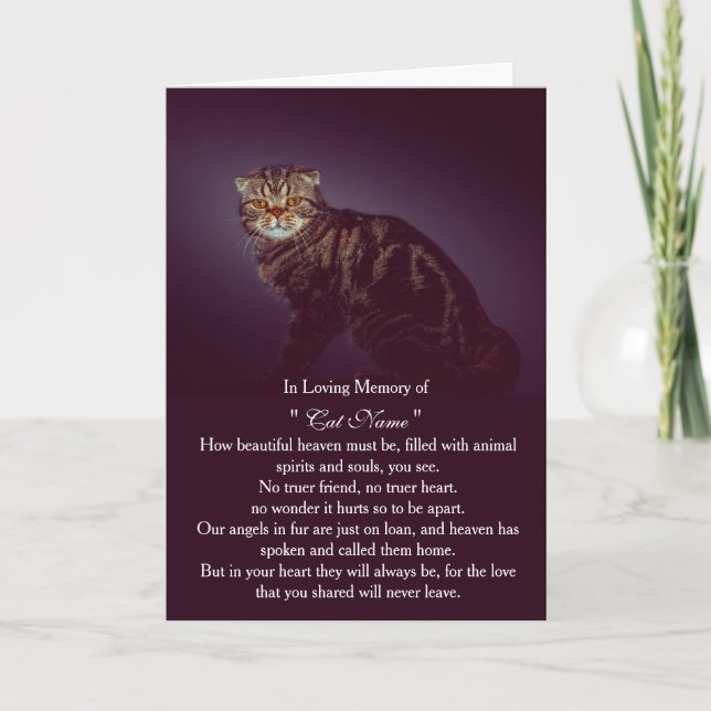 Cartão de simpatia de gato com foto personalizada  (Frente)