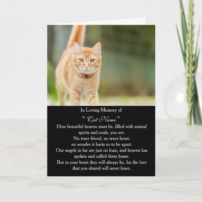 Cartão de simpatia de gato com foto personalizada  (Frente)