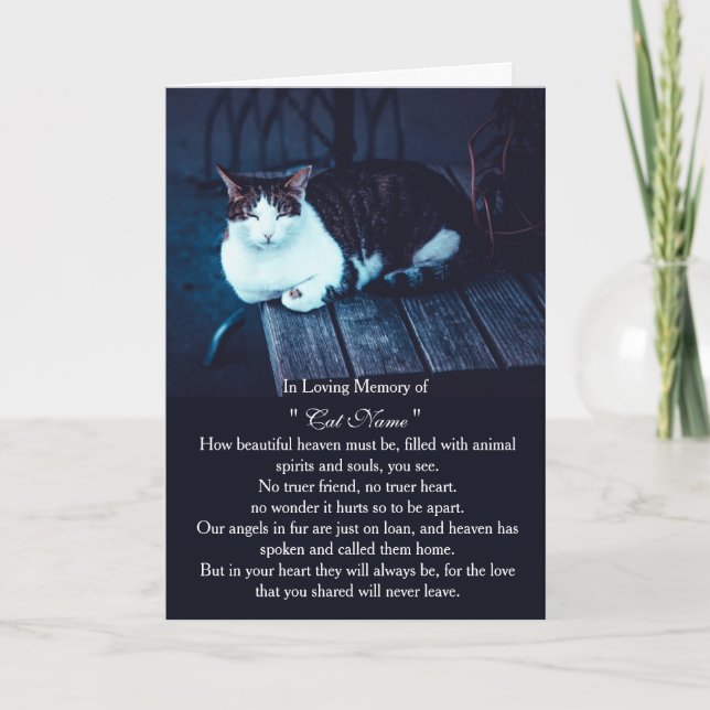 Cartão de simpatia de gato com foto personalizada  (Frente)