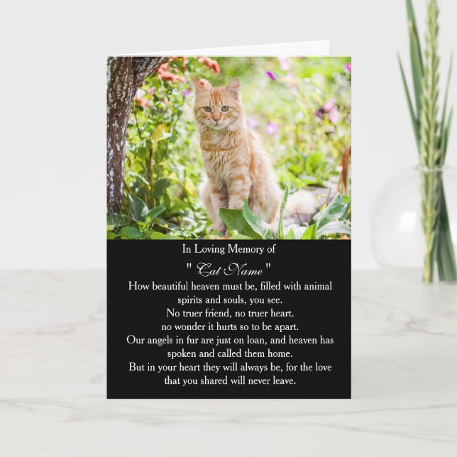 Cartão de simpatia de gato com foto personalizada  (Frente)