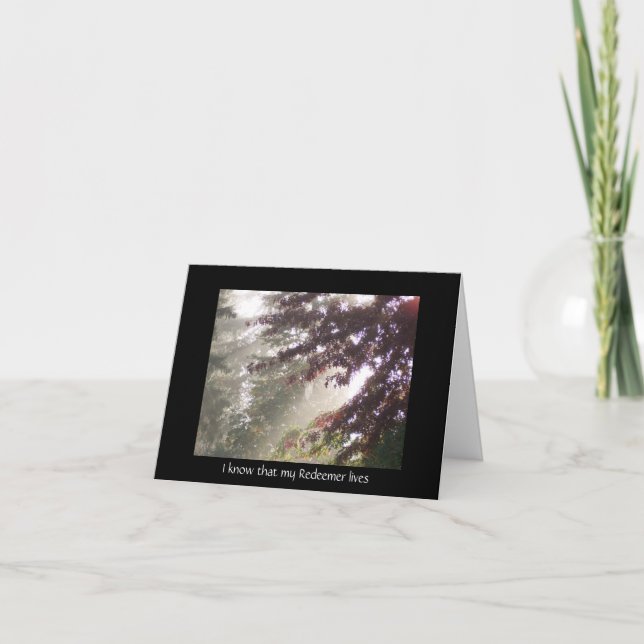 Cartão de simpatia de uma árvore de ameixa (Frente)