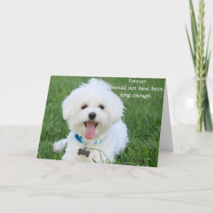 Cartão de simpatia para cães por perda memorial co