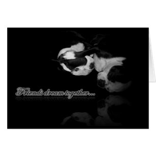 Cartão de Sonhos de Boston Terrier