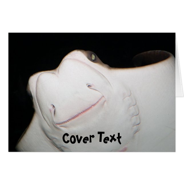 Cartão de sorriso do raio (Frente Horizontal)