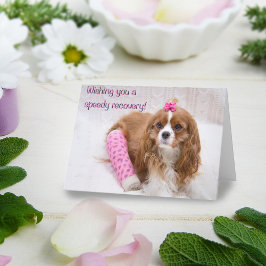Cartão de Spaniel Desejando-lhe uma Rápida Recuper