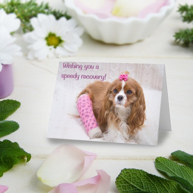 Cartão de Spaniel Desejando-lhe uma Rápida Recuper (Criador carregado)