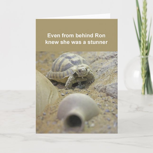 Cartão de tartaruga (Frente)