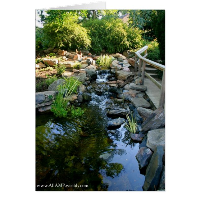 Cartão de tranquilidade (Frente)