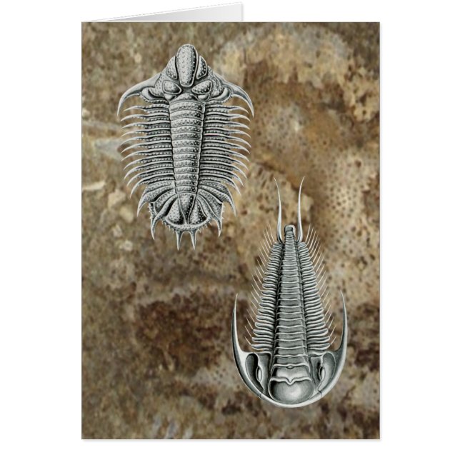 Cartão de Trilobites (Frente)