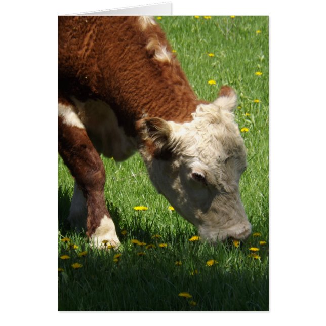 Cartão de Vaca (Frente)