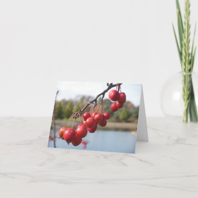 Cartão de vazio - Berries vermelhos (Frente)