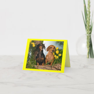 Cartão de Vazio de Cão Cachshund