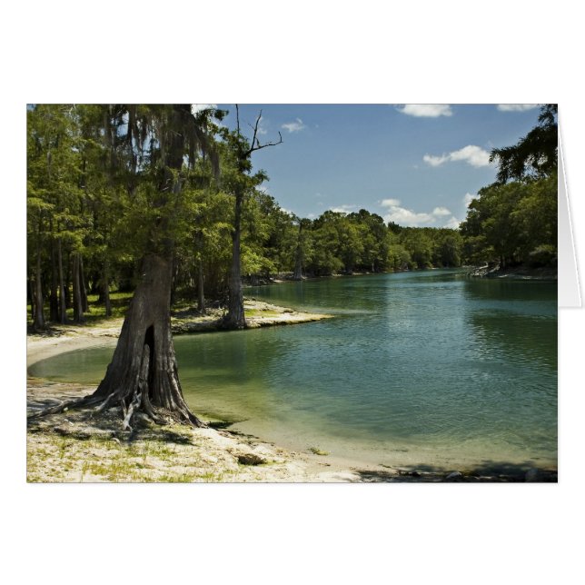 Cartão de Vazio de Praia do Suwannee River (Frente Horizontal)