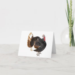 Cartão de vazio Turquia