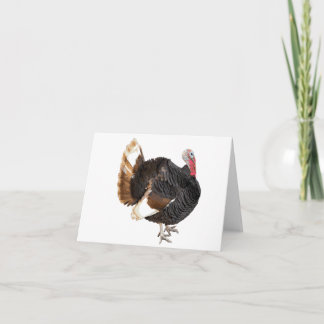 Cartão de vazio Turquia