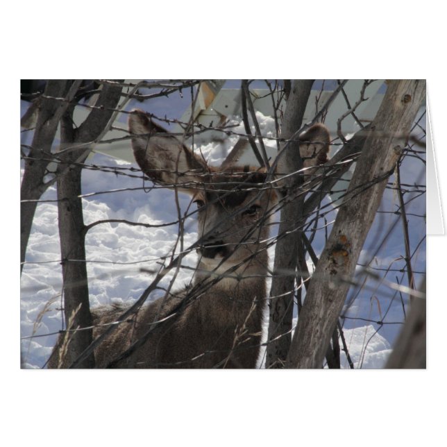 Cartão de veado (Frente Horizontal)