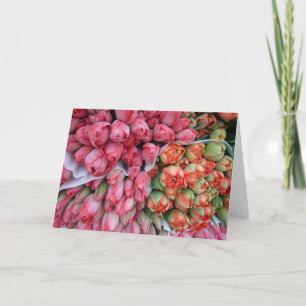 CARTÃO DE VERDADEIRA Tulipas lindas na França