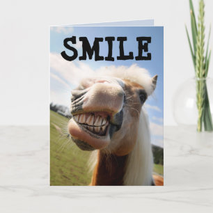 CARTÃO DE VERMELHORIA DE ANIVERSÁRIO HORSE FUNNLE