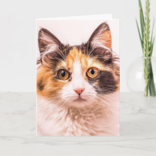 CARTÃO DE VERMELHORIA DE NASCIMENTO DE CALICO CUTE