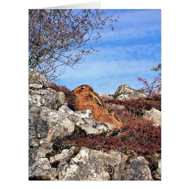 CARTÃO DE VERSÃO DE HARE (Frente)