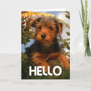 Cartão de Verso de Cachorro Filhote Airedale - Olá