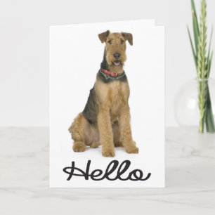 Cartão de Verso de Cachorro Puppy Airedale - Olá
